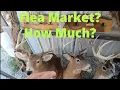 Missouri s Largest Flea Market Worth Going To