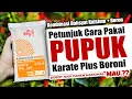Lagu MAU PANEN TANAMANMU MAKSIMAL..❓❓ PETUNJUK CARA PAKAI PUPUK KARATE PLUS BORONI LENGKAP KOMBINASINYA