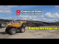 Download Lagu Dampingi Aku Hingga Tua ( cover andra respati )