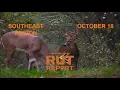 Southeast Rut Report Two States Seeing Incredible Pre-Rut Activity