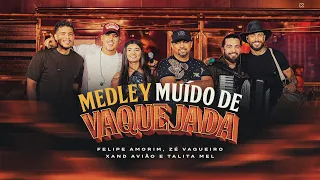 Medley Muído de Vaquejada - Felipe Amorim, Zé Vaqueiro, Xand Avião, Talita Mel e Mc Lekão