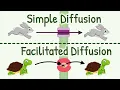 Diffusion Simple Diffusion vs Facilitated Diffusion Factors Affecting Rate of Diffusion
