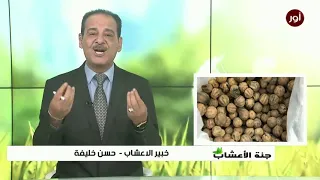 ماهو اللومي وماهى فوائده مع خبير الاعشاب حسن خليفة جنة الاعشاب 