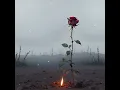 Her Name - Vocalec (Visualizer)