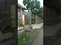 Download Lagu Mapay jalan satapak #shorts #jalanpagi #jalanpagipagi