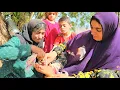 Download Lagu Challenges of Nomadic Life: Grandmother's Worry for Hossein 😭😔