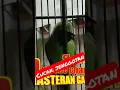 Download Lagu CUCAK IJO ISIAN JENGGOT TAJAM COCOK UNTUK PANCINGAN