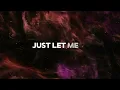 Lyrics Song By Tanerélle - Let Me In (HD/HQ Audio)  @Tanerelle