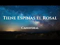 Canaveral - Tiene Espinas El Rosal  (Letra/Lyrics)