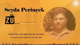 اجمل اغنية سيدا برنجك زو زوووو Siyda Perinçek 