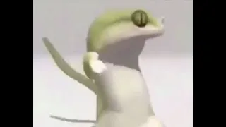 Download Dancing Lizard Dank Meme Compilation MP3