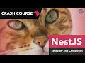 NestJS Crash Course 05 Documenting our REST API with Swagger and Compodoc