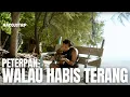 Download Lagu #ACOUSTRIP FELIX IRWAN | PETERPAN - WALAU HABIS TERANG