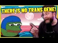 Download Lagu Vaush Argues Whether There's A Trans Gene With Chat