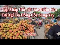 Download Lagu Cập nhập giá Vải các điểm cân sáng nay tại ngã ba đồng cốc