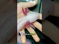 Download Lagu This is a Morphed Axolotl 🦎