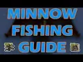OSRS LOOT From 10hrs Of MINNOWS Efficient Minnow Fishing Guide