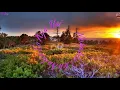 Download Lagu Dil Mein Dard Sa Jaga Hai WhatsApp status video