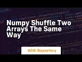 numpy shuffle two arrays the same way
