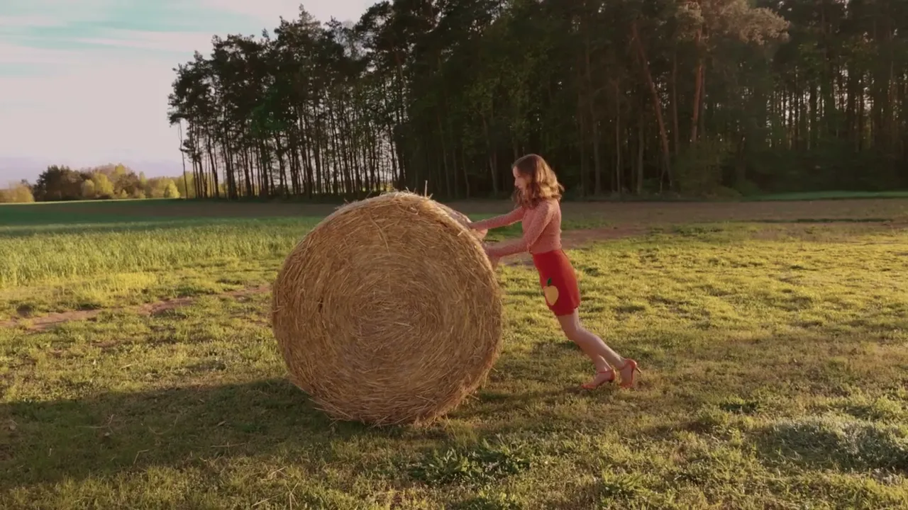 Video Vorschau
