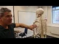 Trigger point theory