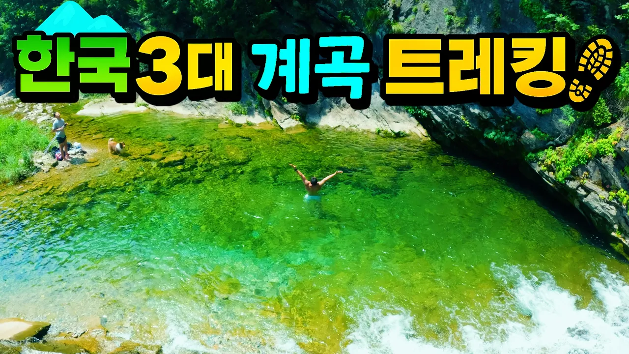 [수심 2.5m] 올해 가장 맑은! 정선 덕산기계곡, 한국 3대 트레킹 명소 (feat.네이쳐맨코리아) サムネイル