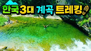 [수심 2.5m] 올해 가장 맑은! 정선 덕산기계곡, 한국 3대 트레킹 명소 (feat.네이쳐맨코리아) 썸네일