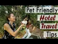 Pet-Friendly Travel Tips to book a dog friendly hotel reservation