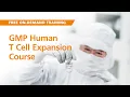 On-Demand Training GMP Human T Cell Expansion Course