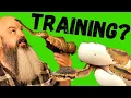 How to Train a Snake Target Training Pythons