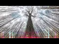Viken Arman - Willow Original mix  Premiere
