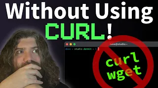 Making an HTTP request in Bash without curl or wget - on any OS Linux Mac illumos etc