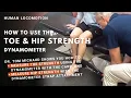 How to Use the Strength Dynamometer