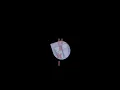 Download Lagu Change my life- inman ,b free Edit