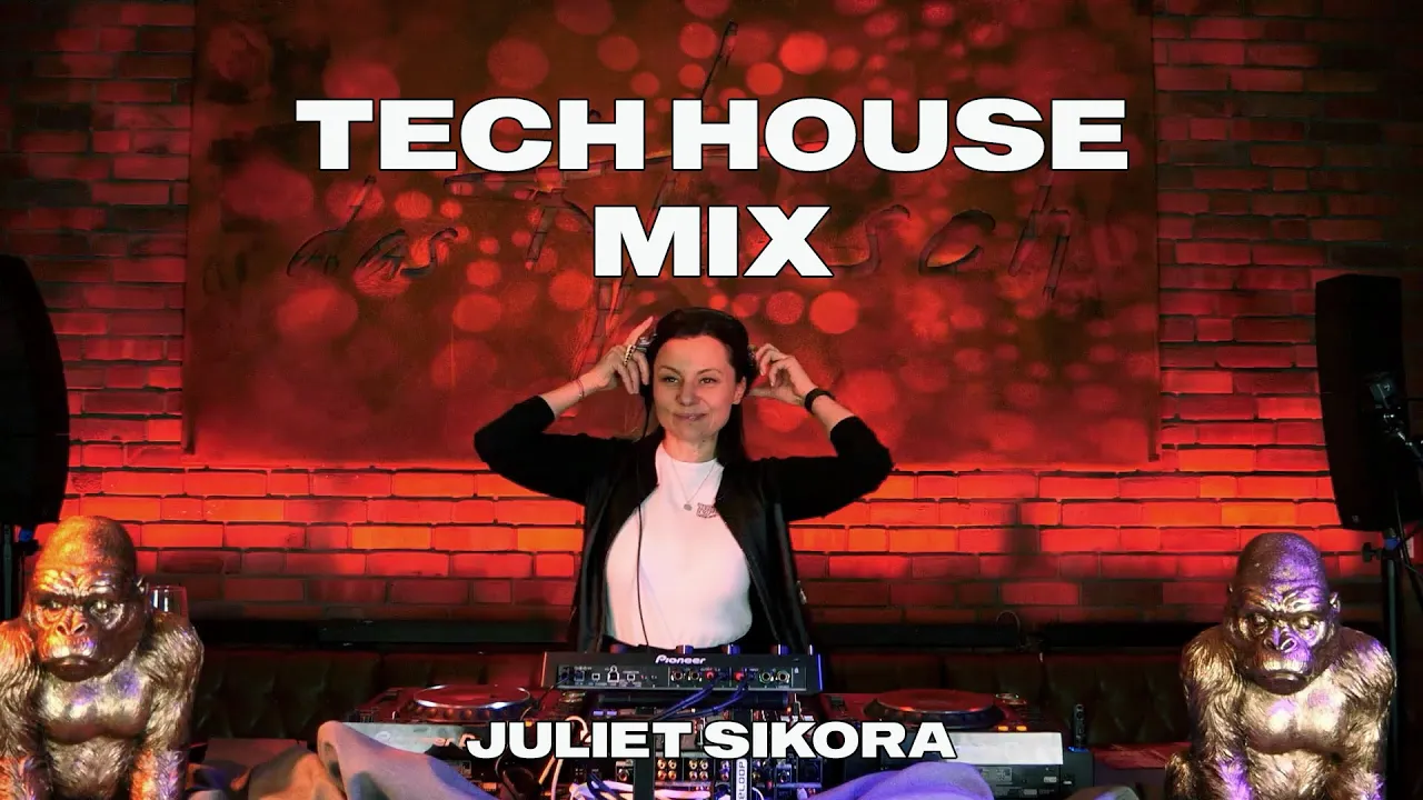 Phoenix Vibes tech house mix by Juliet Sikora