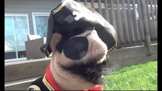 Spring is Back Livin Life with Barnacle Bart Season 2 Episode 3