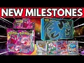 Download Lagu The Pokemon Market is Absolutely MANIC!
