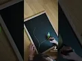 chalk art tutorial flowers