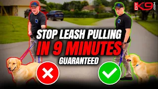 how to stop leash pulling now pro tips for success