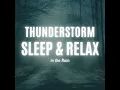 Relaxing Visuals for Sleep: Rainy Forest Path