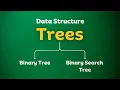 Tree Data Structures Explained Binary and Search Trees Data Structures 2024 Animations