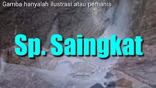 suara burung walet panggil sp sa nkt