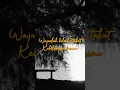 Download Lagu Pemuda Idaman - Takut Kehilanganmu #shorts