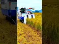 Download Lagu Kubota mini harvester || Osaka mini combine harvester #shorts #shortvideo #combine #harvester