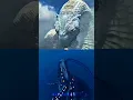 Download Lagu Jörmungandr (GOW) vs Gargantuan Leviathan (Subnautica)
