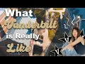 WHAT VANDERBILT IS REALLY LIKE my brutally honest admission advice