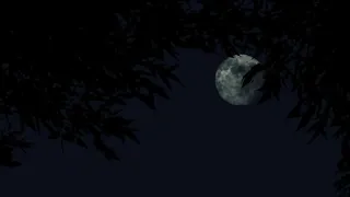 Allaoua Chanson Kabyle Ata3ziztiw 