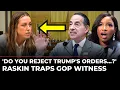 LIVE Jamie Raskin Uses Pro-Trump Witness s Own Words Against Her During House Hearing