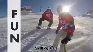 Sled Dogs Snowskates - New sport on the slopes