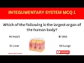 Integumentary System Practice